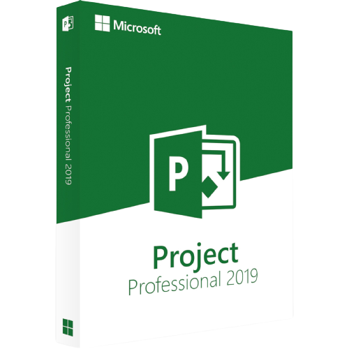 Microsoft Project 2019 Professional