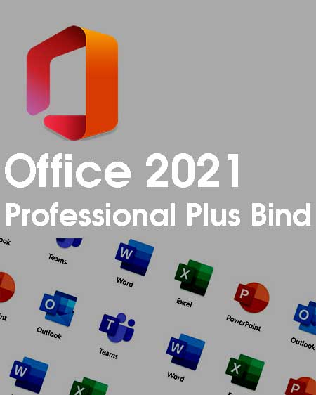 Office 2021 professional Plus bind