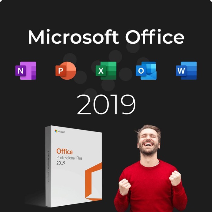 Office Professional Plus 2019 6