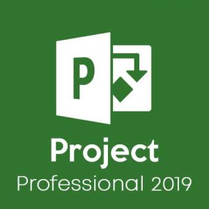 Project Professional 2019 BIND