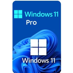 Windows 11 pro 10