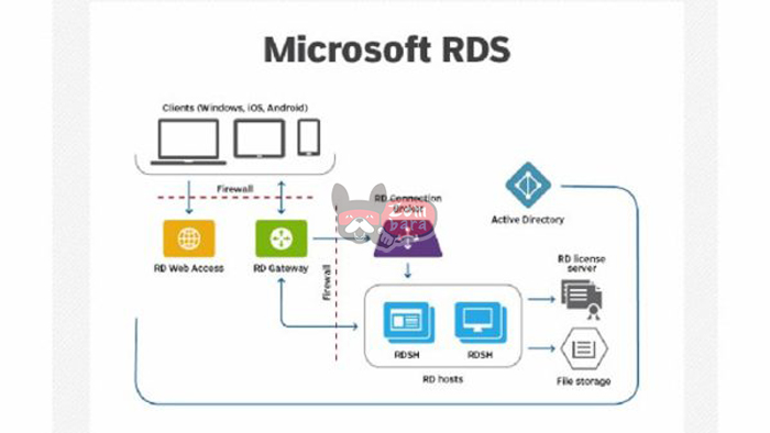 Windows Server 2022 Remote Desktop Services Device Connections 50 Cal 2