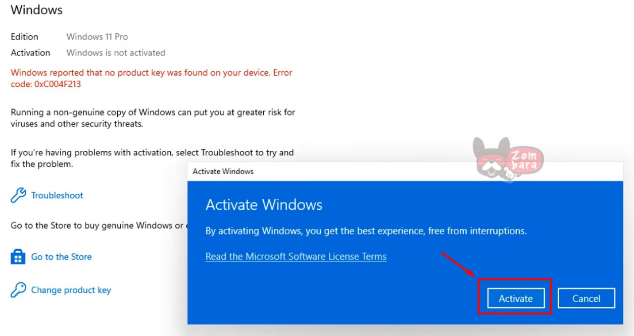 activate Windows 11 Pro 5